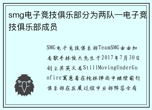 smg电子竞技俱乐部分为两队—电子竞技俱乐部成员